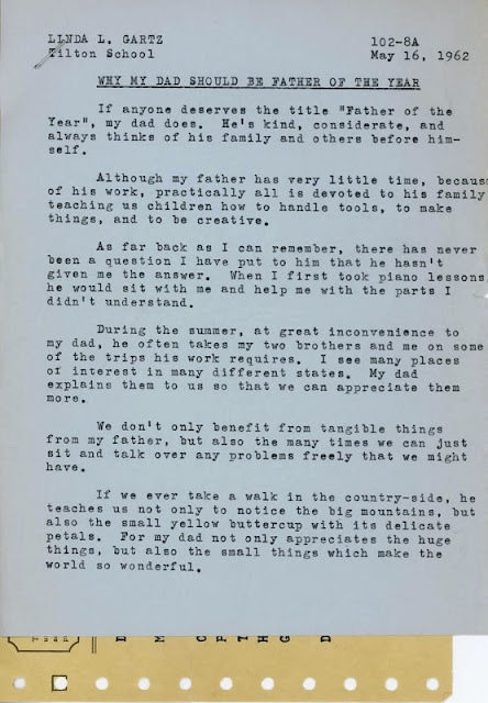 Essay on My Dad My Hero essay my father
